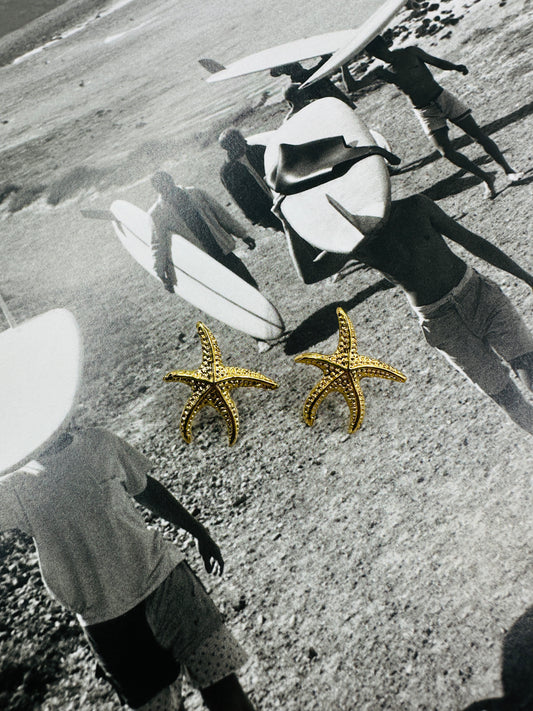 Tipos estrella de mar médium